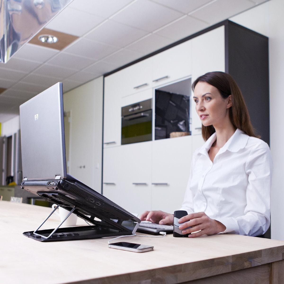 BakkerElkhuizen Home Office Box für Laptop Essentials (BNEHWS1DE) Büro Zuhause