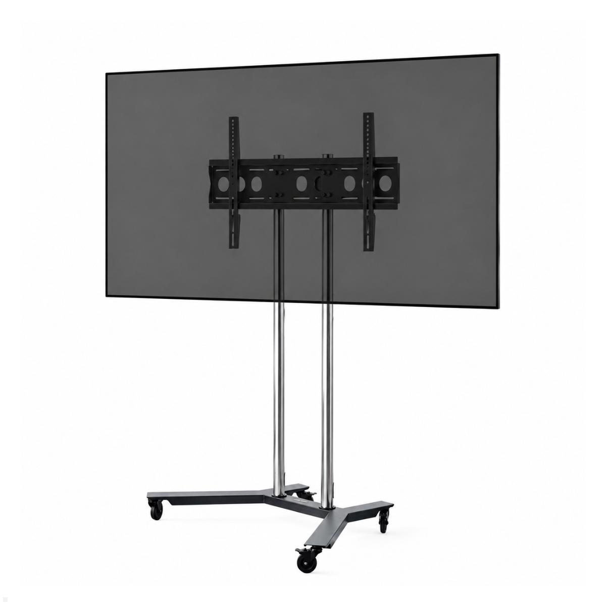 Edbak TR1 mobiler Display Monitor Ständer neigbar 40 - 75 Zoll, TV Rollständer schwarz