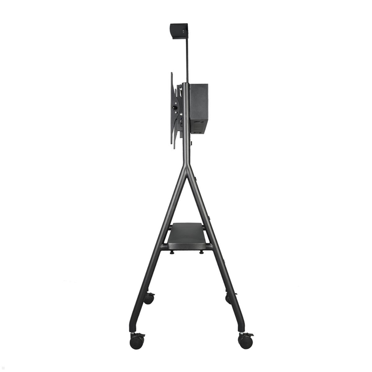 Neomounts NS-M1500BLACK mobiler Videokonferenz Ständer bis 65 Zoll, schwarz, Seitenansicht